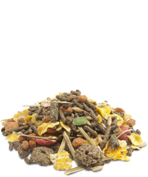 10kg Meerschwein Müsli MUESLI - GUINEA PIGS Leckere, faserreiche Qualitätsmischung für Meerschweinchen Versele Laga